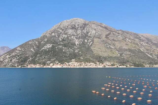 Апартаменты 1bd Waterfront Stoliv Apt w/ Bay & Perast Views Котор-12